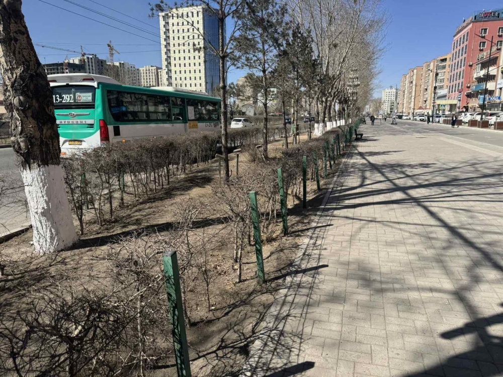 Нийтийн эзэмшлийн зам, талбай, ногоон байгууламжийг арчилж, цэвэрлэж байна