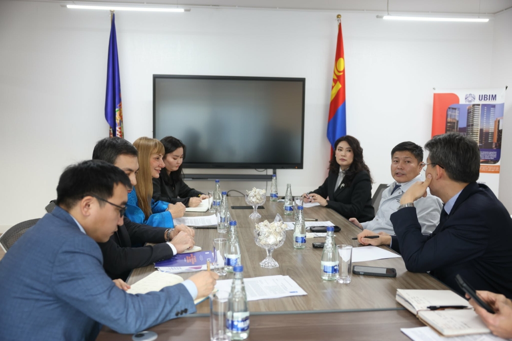 НҮБ-ын Хөгжлийн хөтөлбөрт сэргээгдэх эрчим хүчний чиглэлээр хамтран ажиллах санал солилцлоо