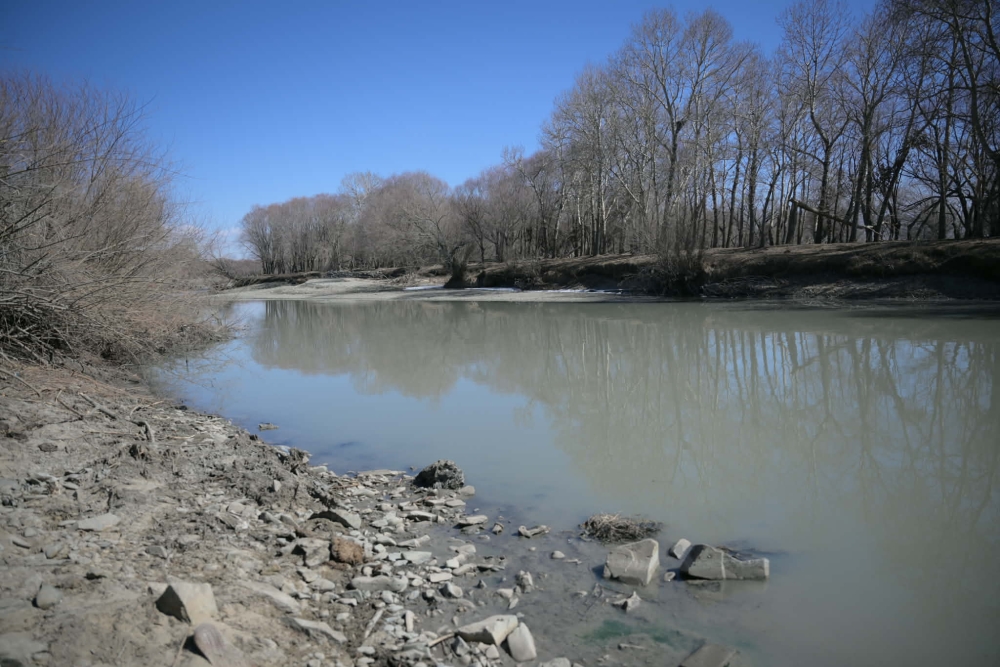 Туул гол руу цутгаж буй бохир ус цэвэрлэгдэж чадалгүй урссаар зарим үед Орхон Туулын бэлчирт хүрч байна