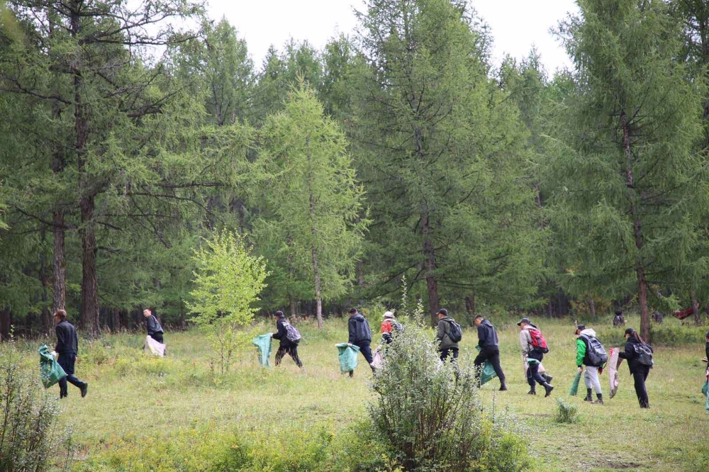 Улаанбаатар хотын ногоон бүсийг цэвэрлэж байна