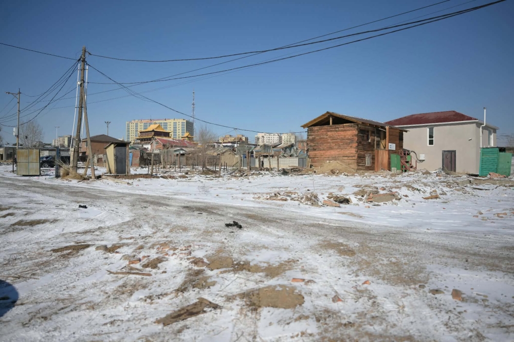 Гандангийн дэнжийг Улаанбаатар хотын хамгийн том цэцэрлэгт хүрээлэн болгоно